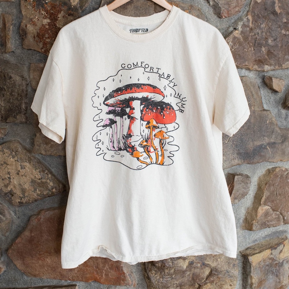 LivyLu Comfortably Numb Thrifted Off White Distressed Tee Sz. 2XL *NWT*